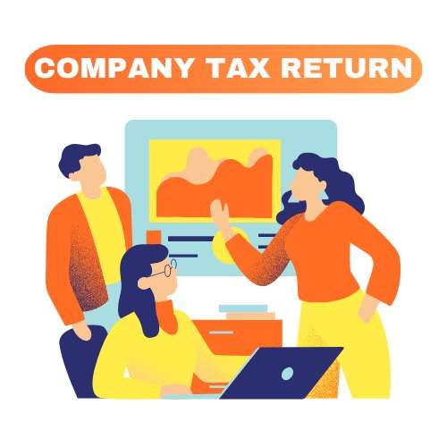 company tax return instructions